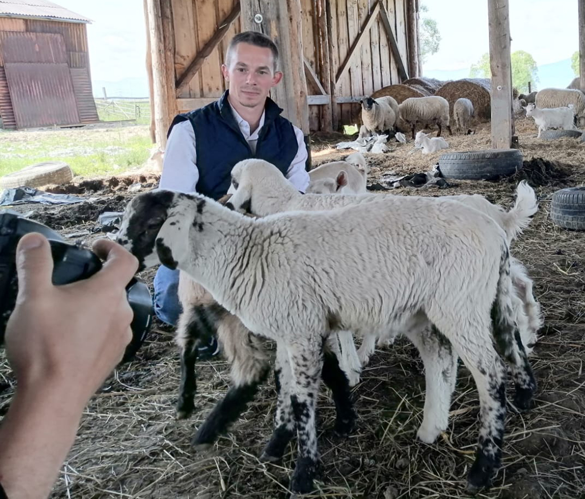 Nehéz helyzetbe hozza a juhtenyésztőket az országot sújtó exporttilalom